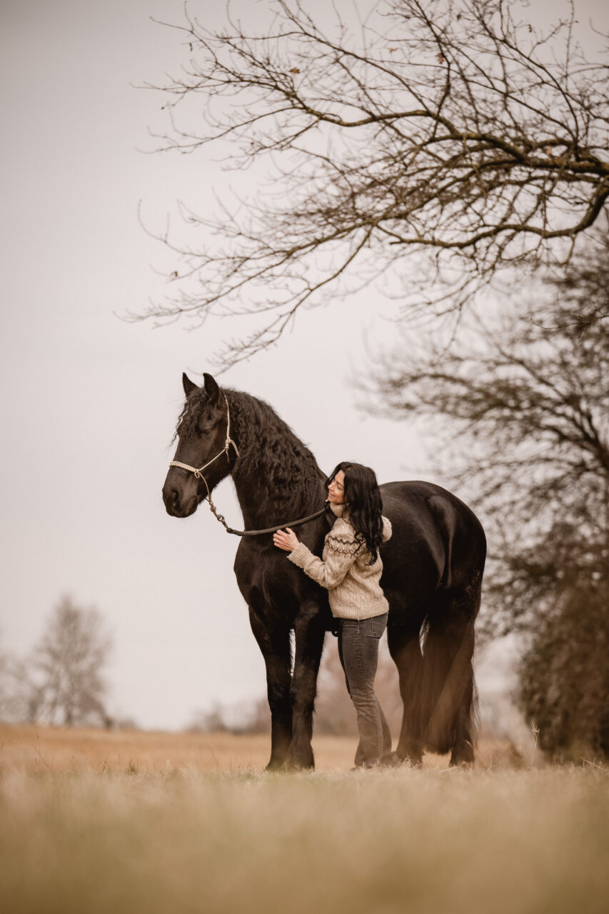 Friesen-Pferd mit Frau, die es am Zaumzeug hält