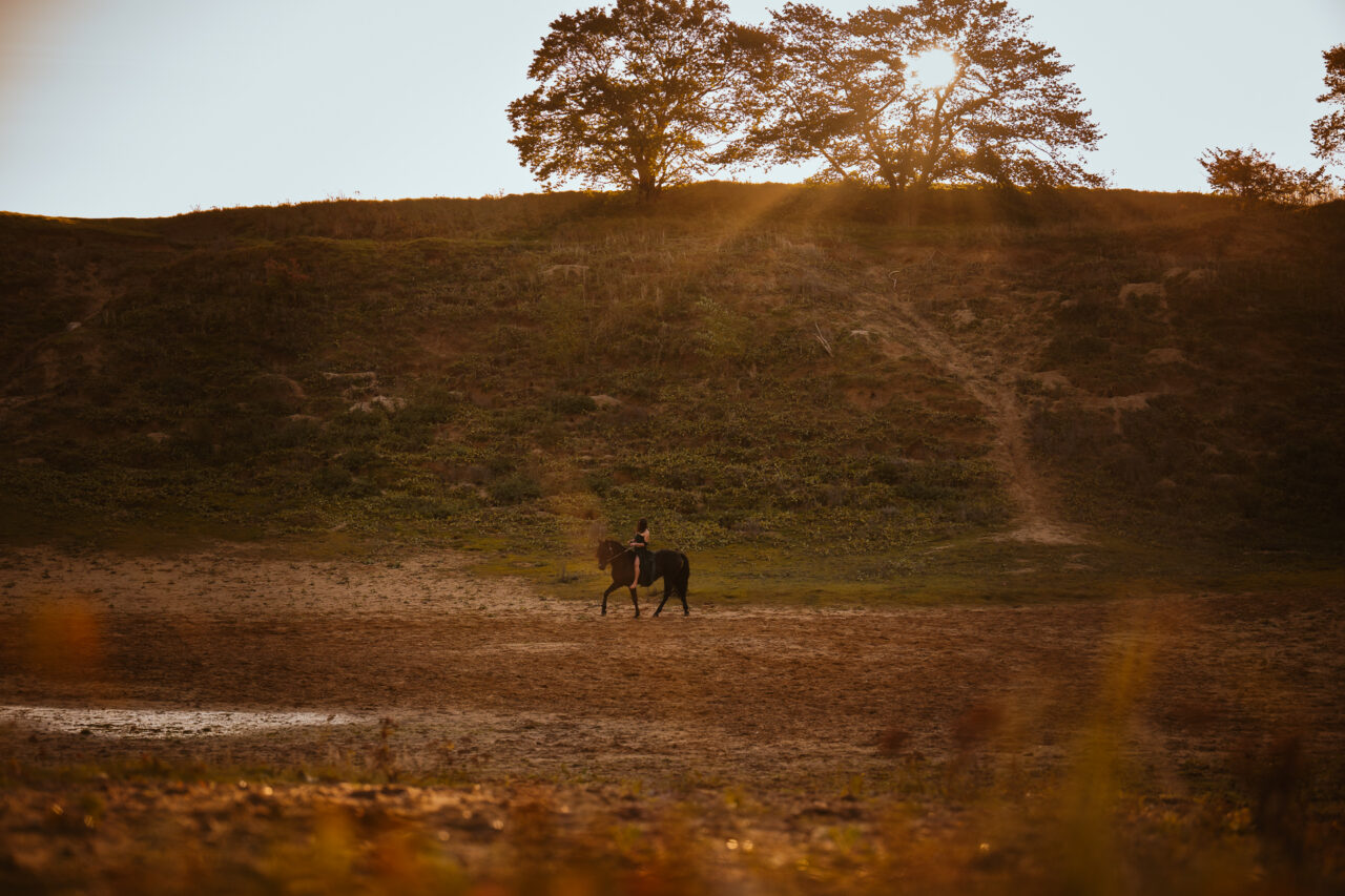 Landschaftsaufnahme mit Reiterin auf einem Pferd vor einem Hügel mit Bäumen im Sonnenaufgang