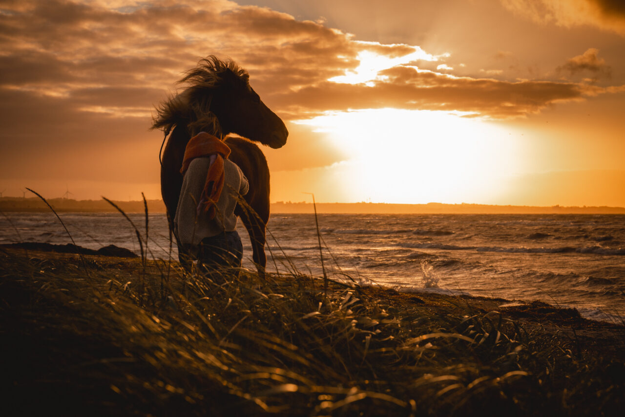 Frau mit Pferd am Strand im Sonnenuntergang, Wind spült Wellen an den Strand und lässt die Mähne wehen